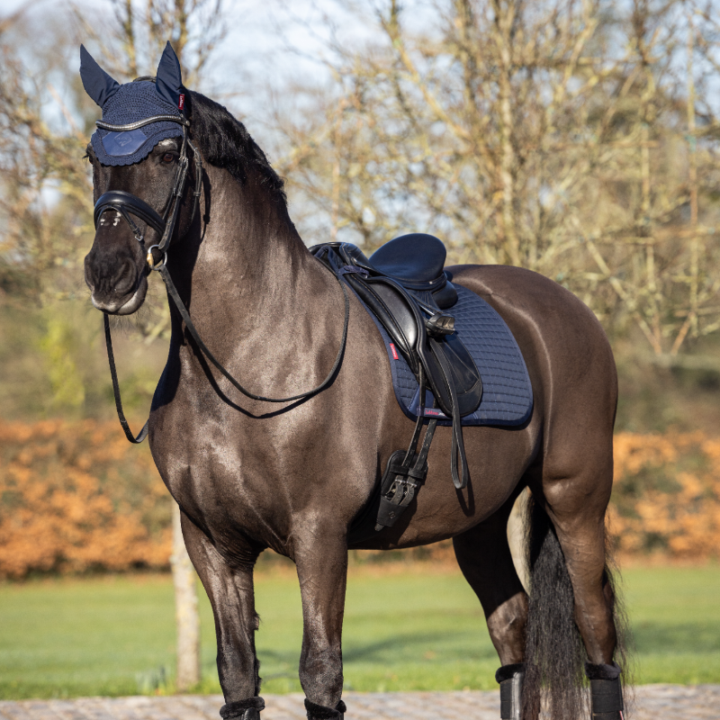 Lemieux - Tapis de dressage Square Coton marine | - Ohlala