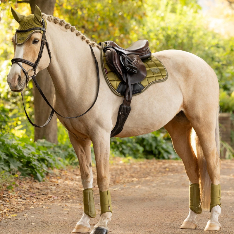 LeMieux - Loire Classic Gooseberry Square All-Purpose Saddle Pad