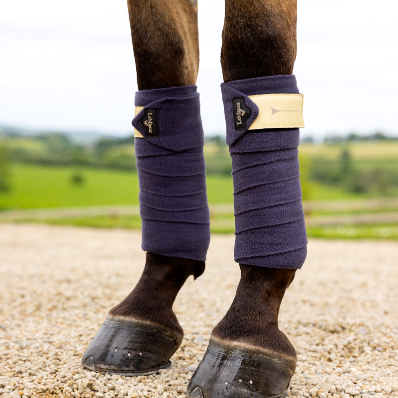 Lemieux - Bandes de polo dusk blue