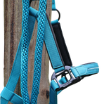 Lami-cell - Longe d'attache Charming turquoise | - Ohlala