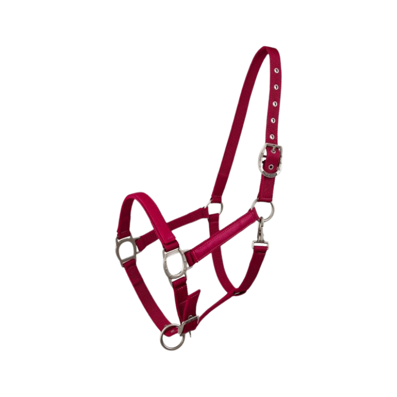 Lami-cell - Raspberry LC Halter