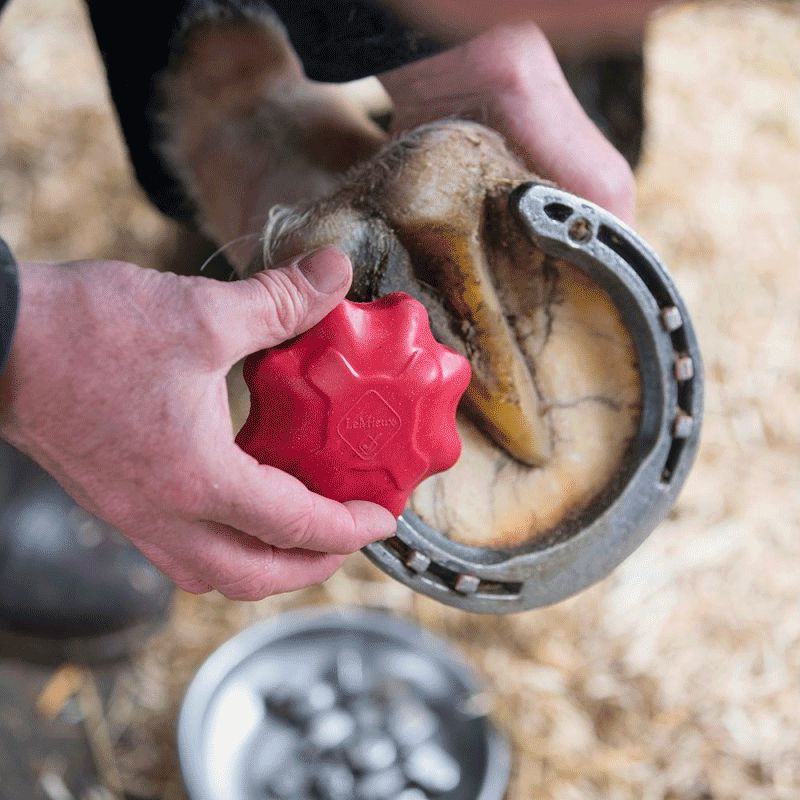 LeMieux - Taraud de sécurité pour crampons rouge | - Ohlala