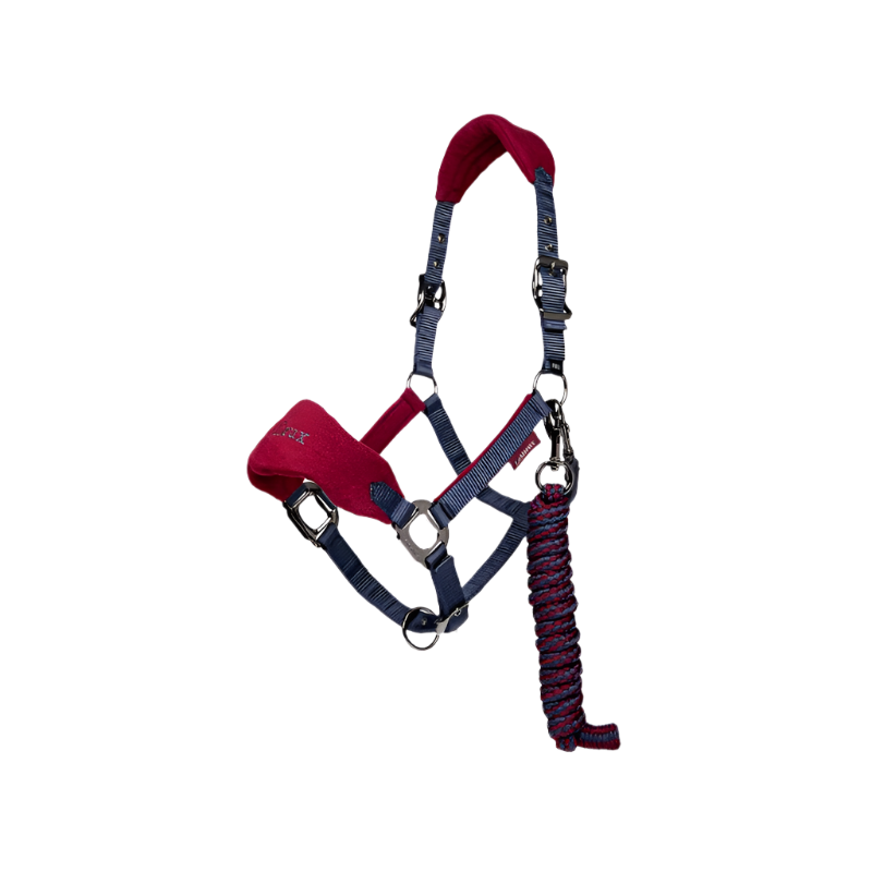 LeMieux - Vogue blue/burgundy halter + lead set