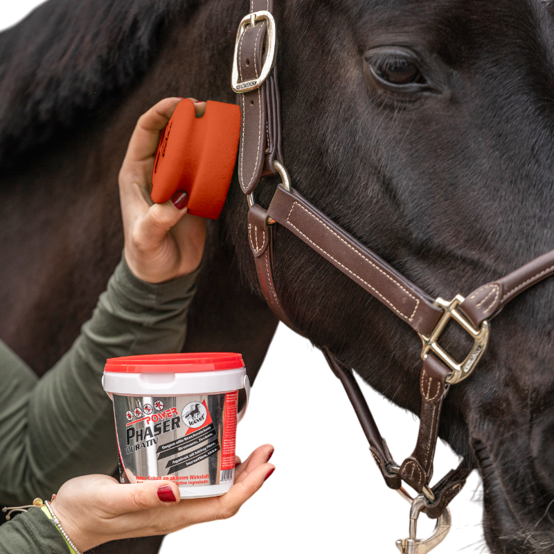 Leovet - Gel anti-insectes avec éponge chevaux sensibles Power Phaser