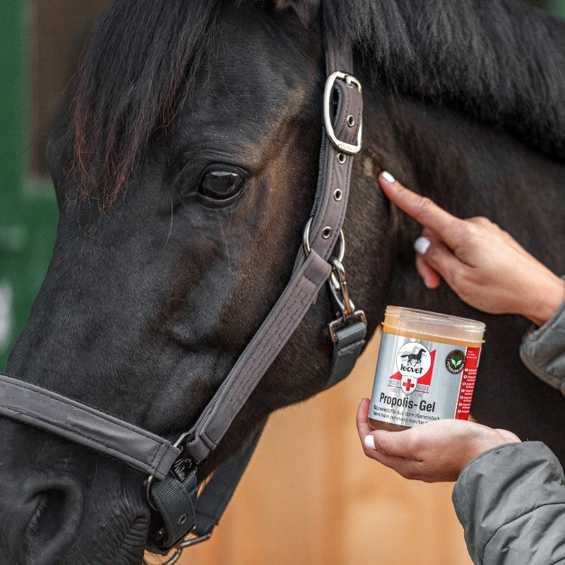 Leovet - Gel cicatrisant First Aid Propolis