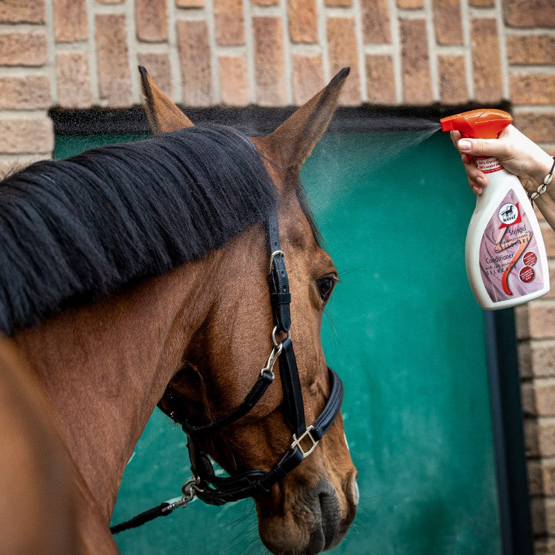 Leovet - Spray démêlant Silkcare