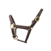 Canter - Brown foal show halter | - Ohlala