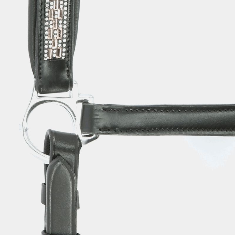 Norton - Licol en cuir Princesse noir | - Ohlala
