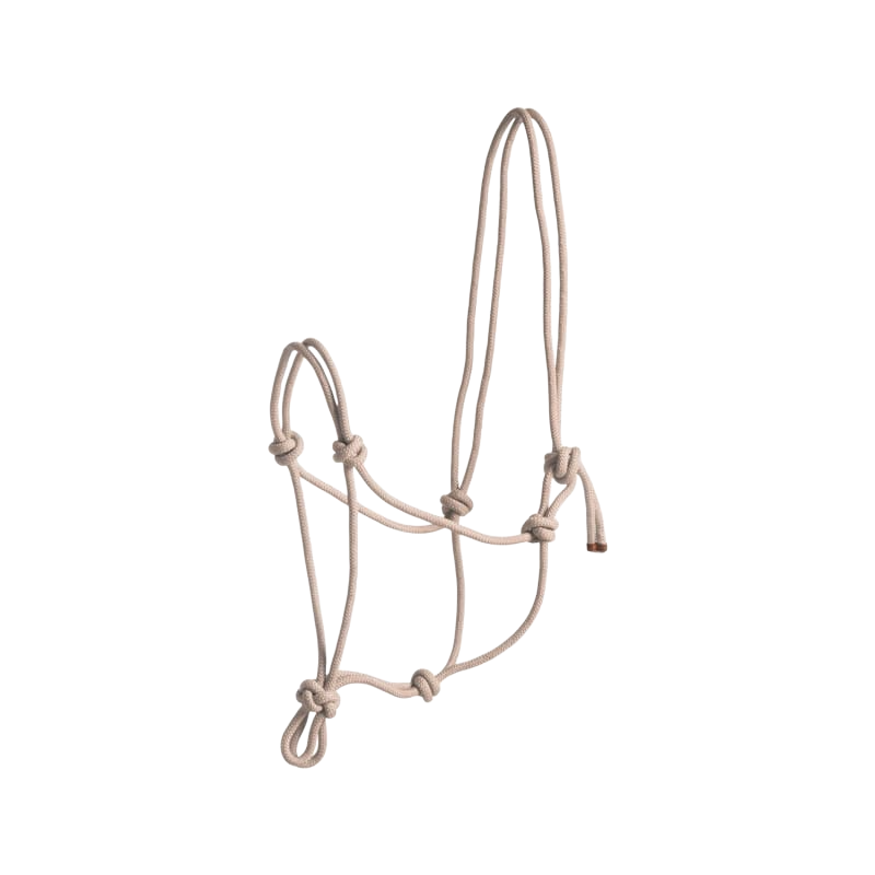 Norton - First beige rope halter