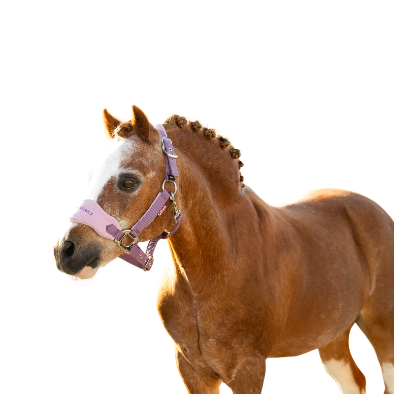 LeMieux - Licol et longe Mini Vogue mallow | - Ohlala