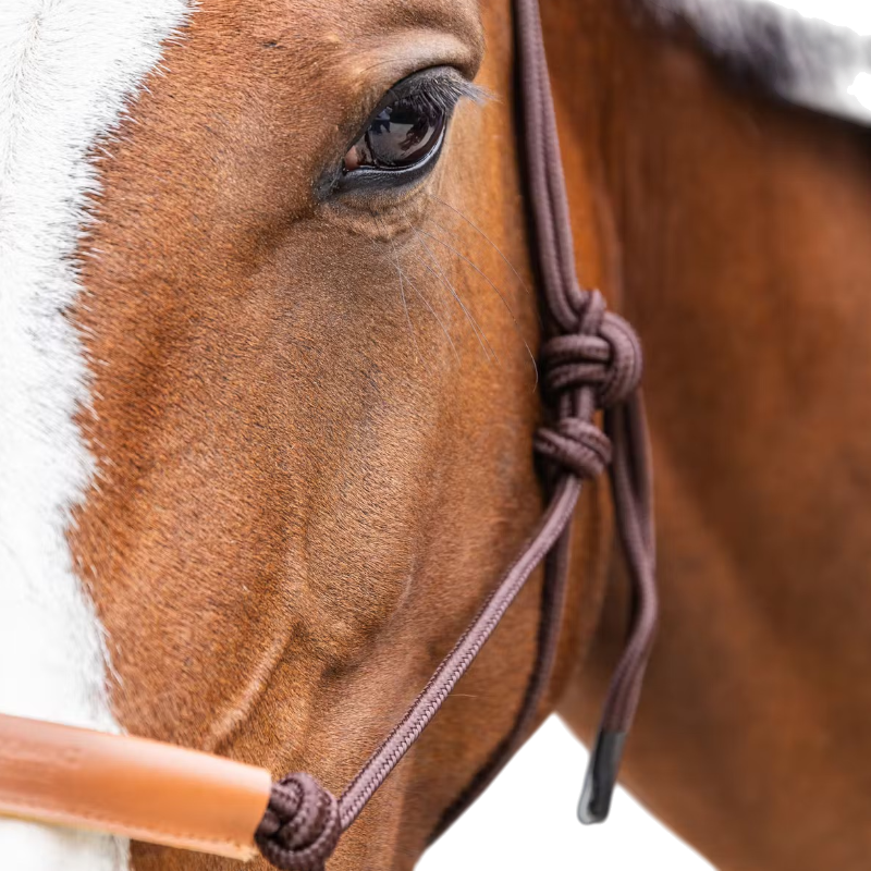 Kentucky Horsewear - Ethologisch halster Touw bruin | - Ohlala