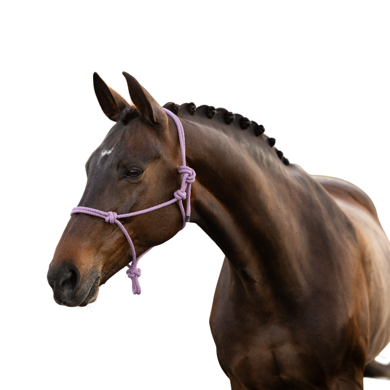 LeMieux - Rope halter fondant | - Ohlala