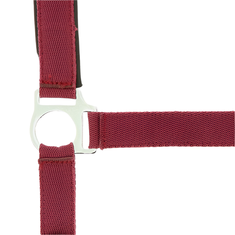 Norton - Burgundy neoprene lined nylon halter