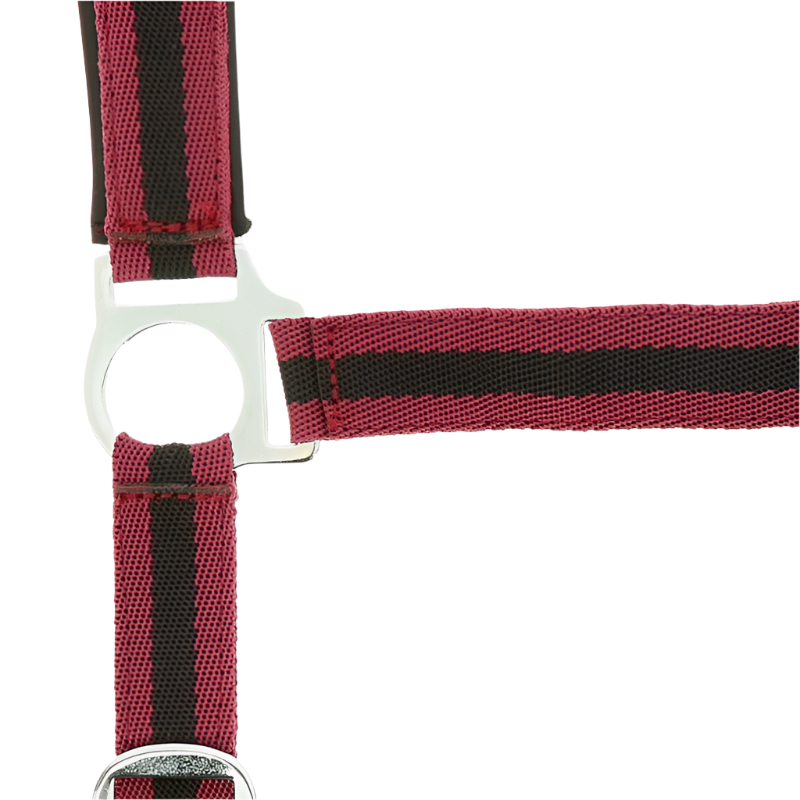 Norton - Burgundy/black neoprene lined nylon halter