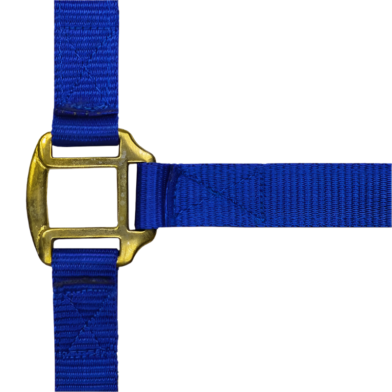 Norton - Royal blue leather-lined nylon halter