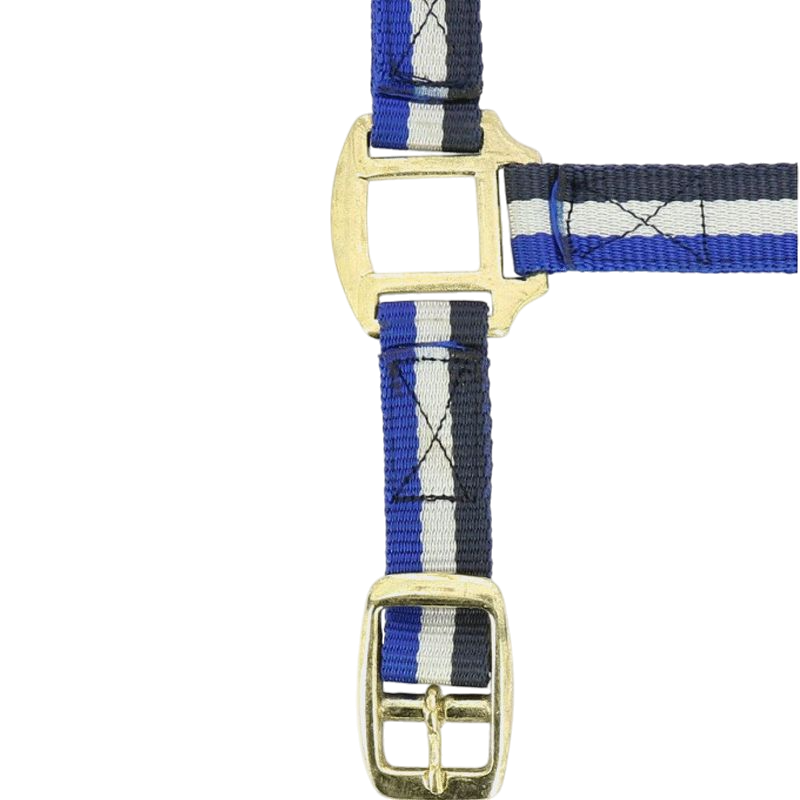 Norton - Navy/white/blue leather-lined nylon halter