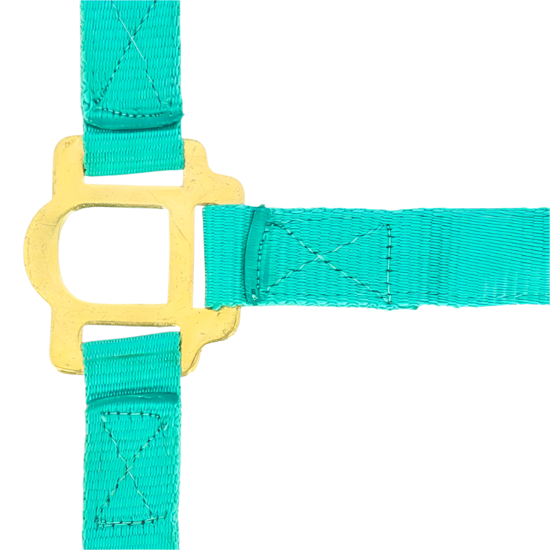 Norton - Turquoise adjustable noseband nylon halter