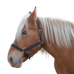 Norton - Cabeçada para cavalo de tiro "PRO" preta | - Ohlala