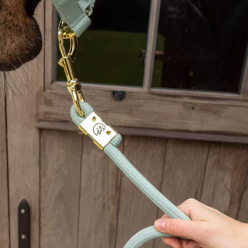 Kentucky Horsewear - Longhina Rope Basic menta 2m | - Ohlala