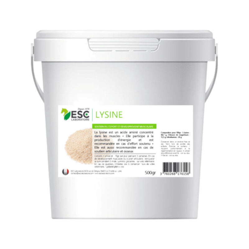 ESC Laboratoire - Food supplement to support effort and muscle development Lysine