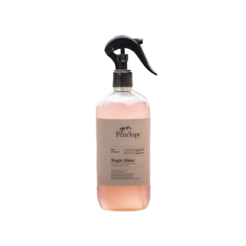 Pénélope Store - Magic Shine polishing spray