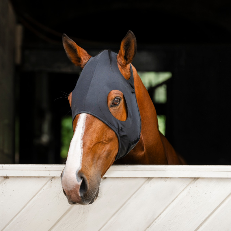 Horseware - Masque anti-stress Iconic noir | - Ohlala