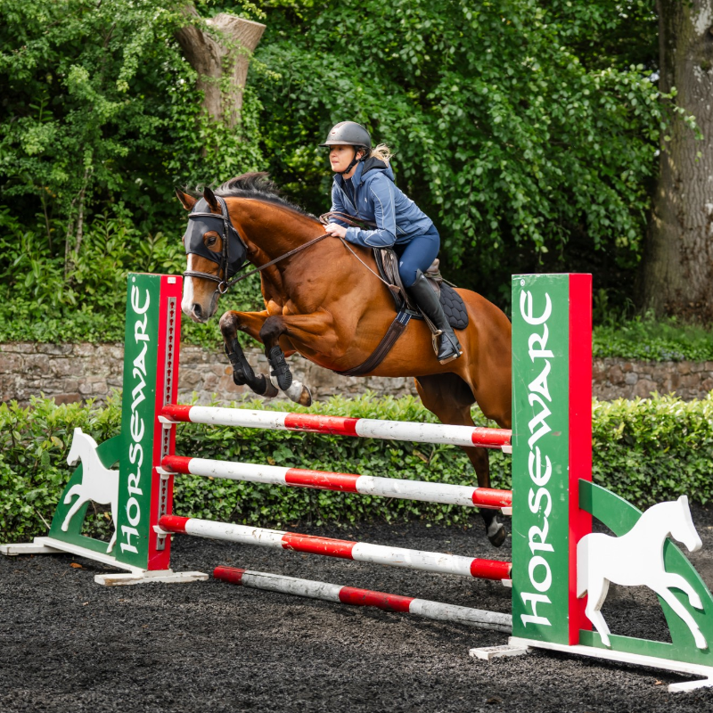 Horseware - Masque anti-stress Iconic noir | - Ohlala