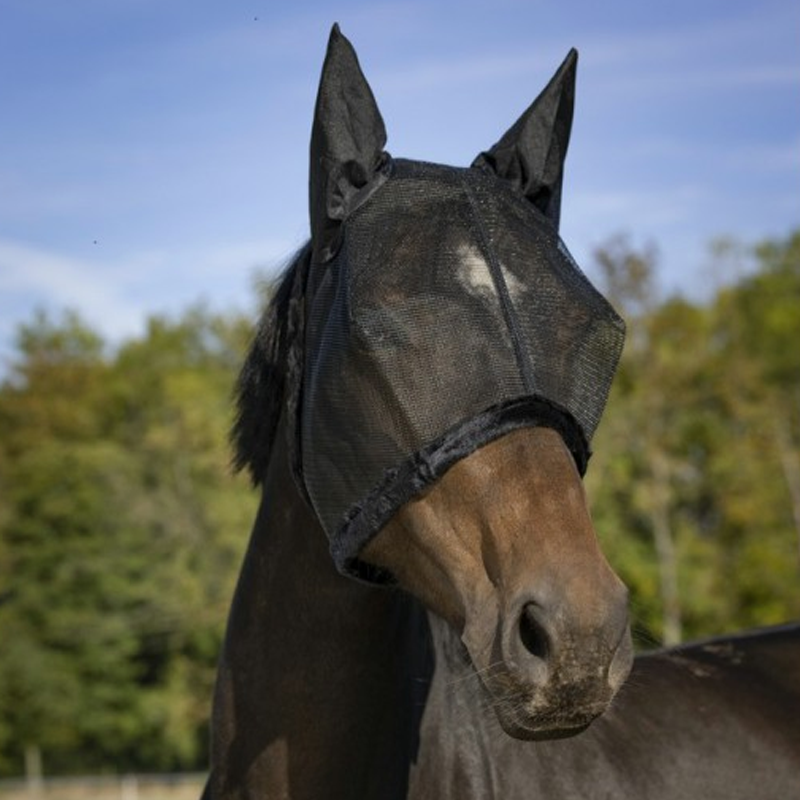 Equithème - Masque anti-mouches et UV mesh Q.S. noir | - Ohlala