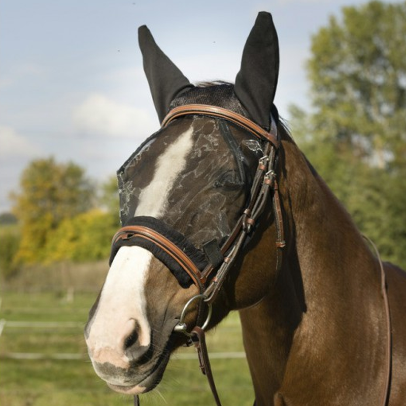 Equithème - Masque anti-mouches et UV Training noir | - Ohlala