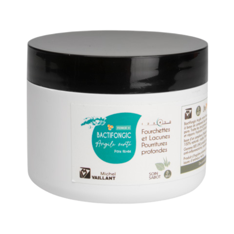 Michel Vaillant - Organic fiber pasta with green clay fork and gap care Bactifongic