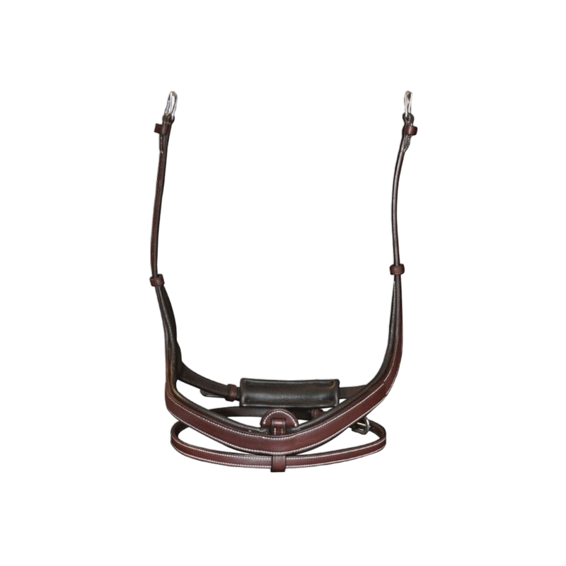 Flags &amp; Cup - Combined noseband