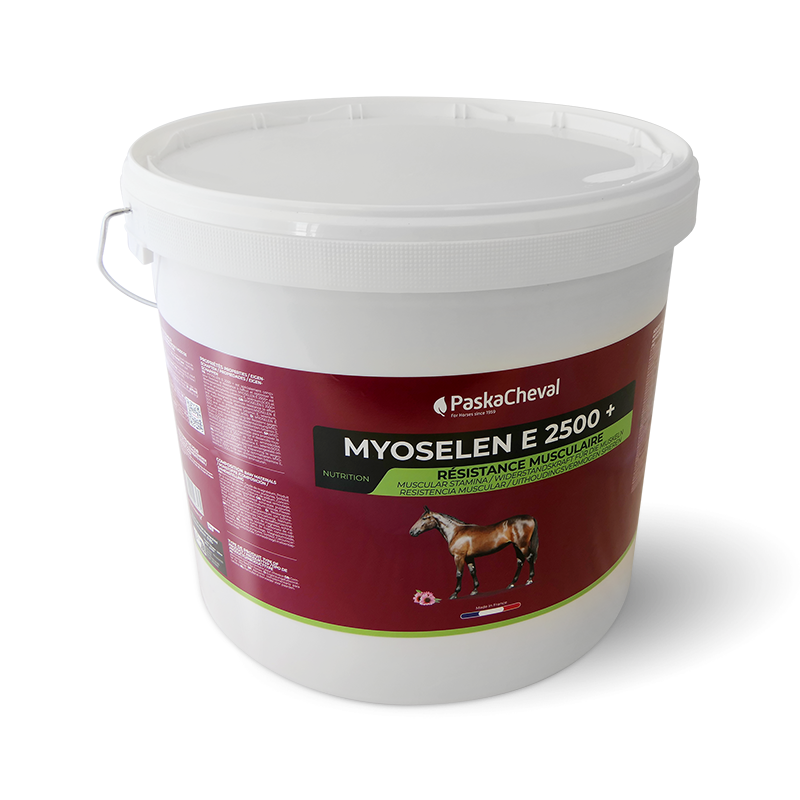 Paskacheval - Complément alimentaire musculaire Myoselen E 2500+ | - Ohlala