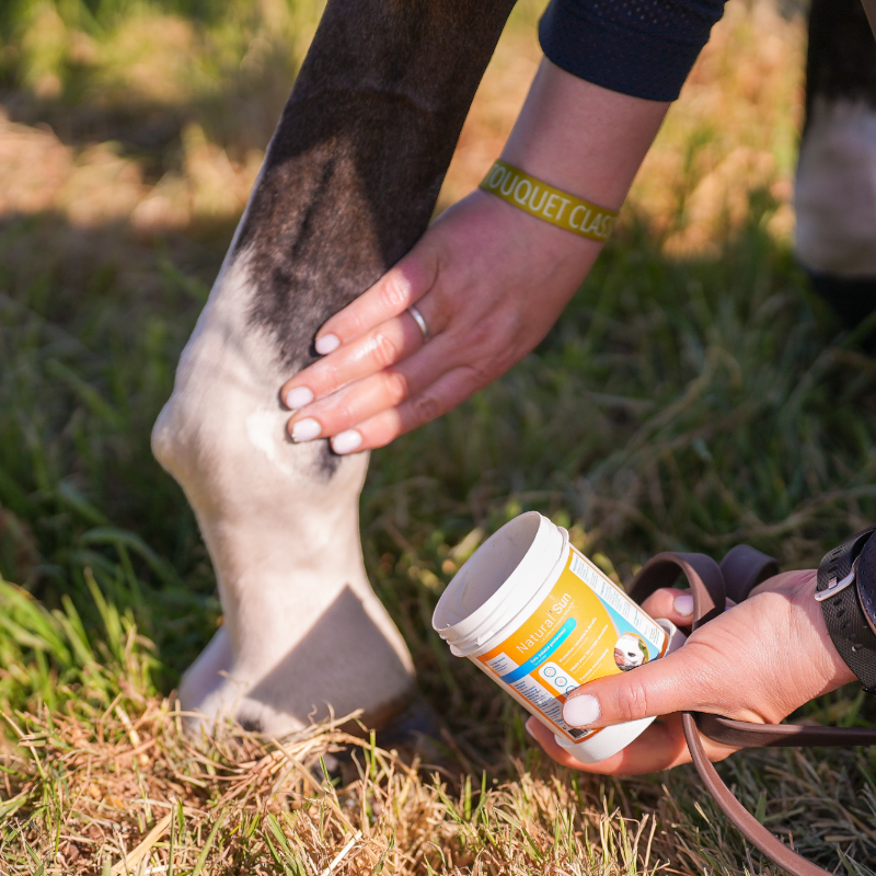 Natural' Innov - Natural'Sun sunscreen for horses 