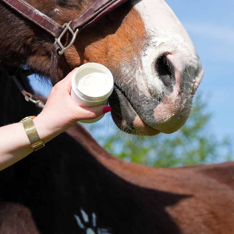 Natural' Innov - Natural'Sun sunscreen for horses 