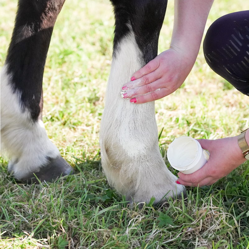 Natural' Innov - Natural'Sun sunscreen for horses 
