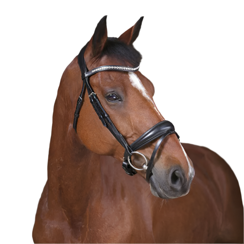 Norton - Pro Strass Bridle