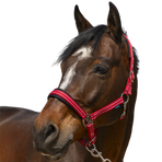 Norton - Halster 4 Lines rood | - Ohlala