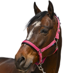 Norton - Halster 4 Lines oud roze | - Ohlala
