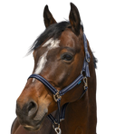 Norton - Grooming Halter navy | - Ohlala