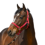 Norton - Grooming Halter red | - Ohlala