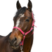 Norton - Grooming headcollar dusty pink | - Ohlala
