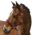 Norton - Licol Satine bordeaux/ noir | - Ohlala