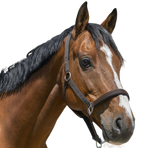 Norton - Licol Satine chocolat | - Ohlala