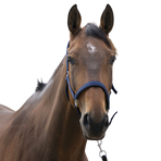 Norton - Licol Satine marine | - Ohlala