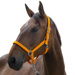 Norton - Licol Satine orange | - Ohlala