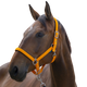 Norton - Satine headcollar orange | - Ohlala