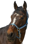 Norton - Soft turquoise nylon headcollar | - Ohlala