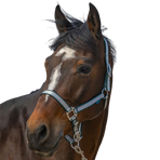 Norton - Soft nylon Halter dark green | - Ohlala