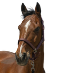 Norton - Halster Zari bordeaux | - Ohlala
