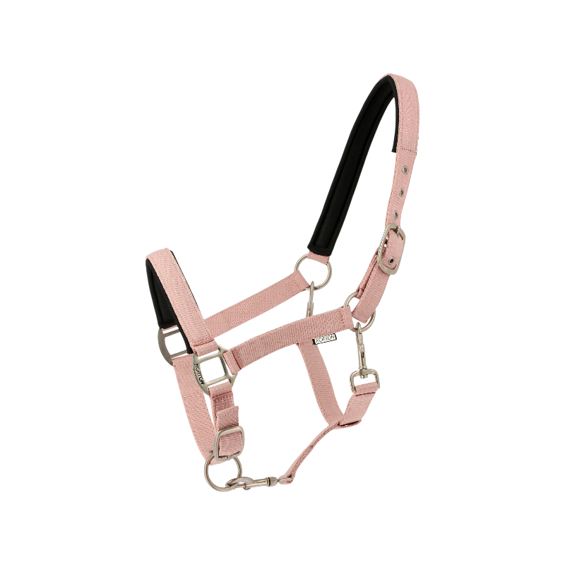 Norton - Licol Nacre vieux rose